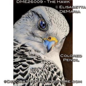 The Hawk Color Pencil Painting Pattern PDF DOWNLOAD - Elisabetta DeMaria